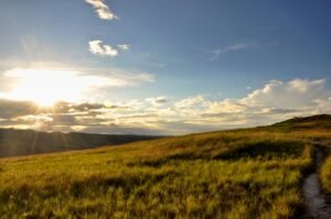 Mural de la Gran Sabana en Venezuela