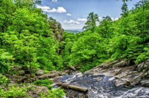 Mural de Río en el Bosque