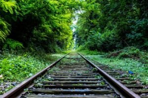 Mural Rieles de Tren en el Bosque