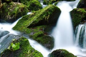 Mural Cascada Rocosa del Bosque