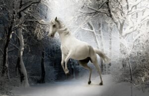 Mural Caballo en el Invierno