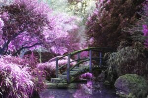 Mural Puente en Bosque de Flores Violetas