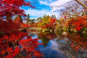Mural Puente del Templo Eikando en Japón