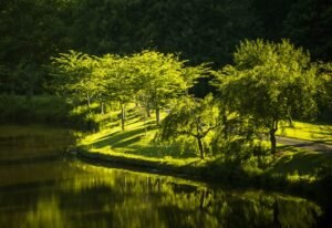 Mural Lago en el Parque Verde