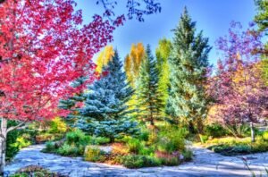 Mural Parque de Árboles Multicolor