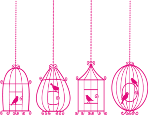 Vinilo Adhesivo Pájaros Dentro de sus Jaulas